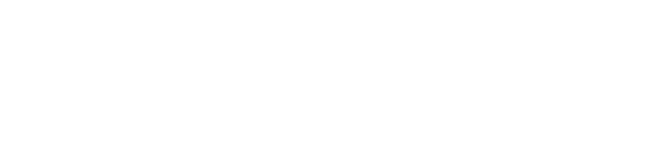 Fluenix